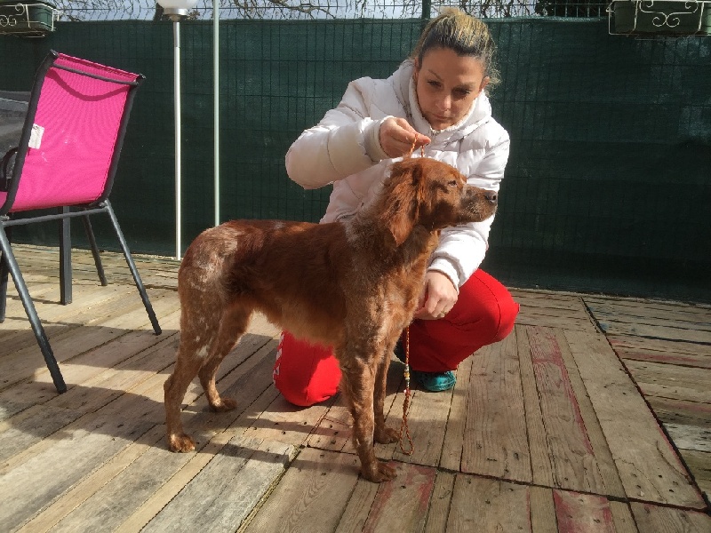 Arriver de notre Nouvelle Recrus Inès des étangs de la douce crème !!!